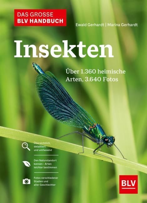 Gerhardt, Ewald: Das große BLV Handbuch Insekten