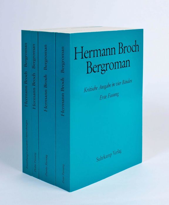 Broch, Hermann: Bergroman