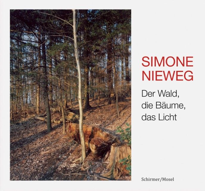 Nieweg, Simone: Der Wald, die Bäume, das Licht