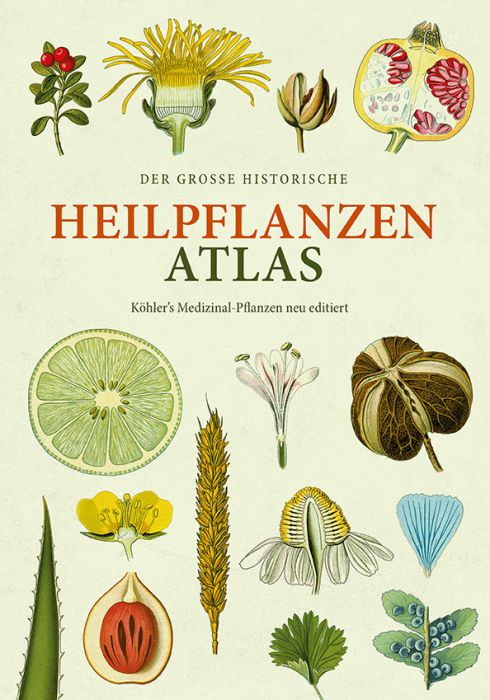 Köhler, Hermann Adolph: Der große Heilpflanzen-Atlas