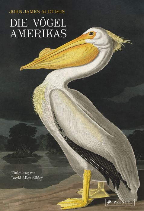 Audubon, John James/Sibley, David Allen: Die Vögel Amerikas