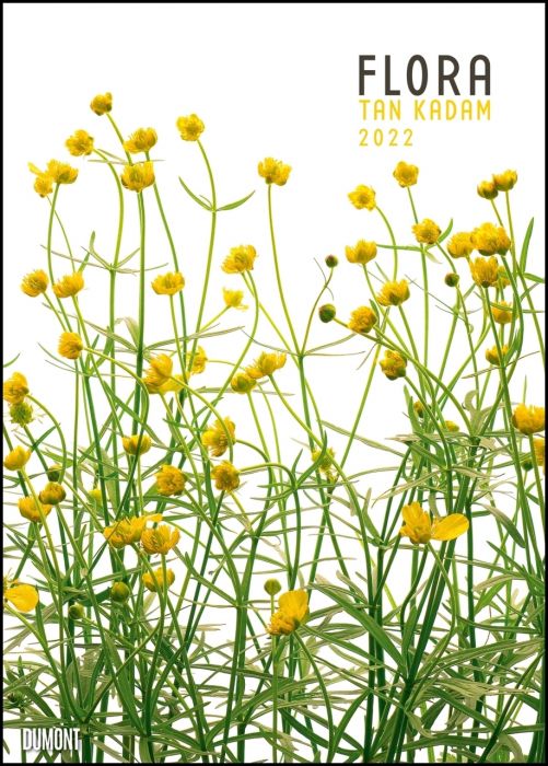 Kadam, Tan: Flora 2022 - Blumen-Kalender von DUMONT- Foto-Kunst von Tan Kadam - Poster-Format 50 x 70 cm