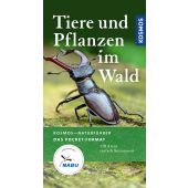 Tiere und Pflanzen im Wald, Wilhelmsen, Ute, Franckh-Kosmos Verlags GmbH & Co. KG, EAN/ISBN-13: 9783440170069