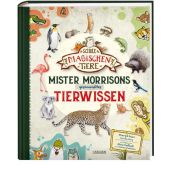 Die Schule der magischen Tiere: Mister Morrisons gesammeltes Tierwissen, Auer, Margit/Verg, Martin, EAN/ISBN-13: 9783551250766