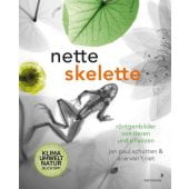 Nette Skelette, Schutten, Jan Paul/van 't Riet, Arie, Mixtvision Mediengesellschaft mbH., EAN/ISBN-13: 9783958541580