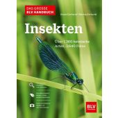 Das große BLV Handbuch Insekten, Gerhardt, Ewald, BLV Buchverlag GmbH & Co. KG, EAN/ISBN-13: 9783967470482