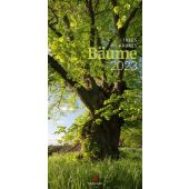 Bäume 2023, Ackermann Kunstverlag, EAN/ISBN-13: 9783838423203