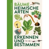 Bäume, Tackenberg, Dr Oliver, Favoritenpresse, EAN/ISBN-13: 9783968490847