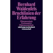 Bruchlinien der Erfahrung, Waldenfels, Bernhard, Suhrkamp, EAN/ISBN-13: 9783518291900