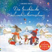 Die leuchtende Weihnachtsüberraschung, Taplin, Sam, Usborne Verlag, EAN/ISBN-13: 9781789411072