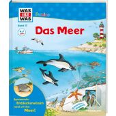Das Meer, Braun, Christina, Tessloff Medien Vertrieb GmbH & Co. KG, EAN/ISBN-13: 9783788622190