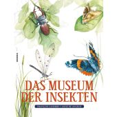 Das Museum der Insekten, Lasserre, François, Knesebeck Verlag, EAN/ISBN-13: 9783957280879