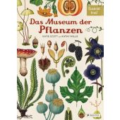 Das Museum der Pflanzen, Scott, Katie/Willis, Kathy, Prestel Verlag, EAN/ISBN-13: 9783791372662