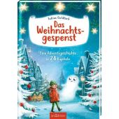 Das Weihnachtsgespenst, Goldfarb, Tobias, Ars Edition, EAN/ISBN-13: 9783845842660