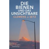 Die Bienen und das Unsichtbare, Setz, Clemens J, Suhrkamp, EAN/ISBN-13: 9783518472569