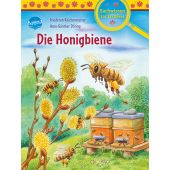 Die Honigbiene, Reichenstetter, Friederun, Arena Verlag, EAN/ISBN-13: 9783401717739