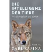 Die Intelligenz der Tiere, Safina, Carl, Verlag C. H. BECK oHG, EAN/ISBN-13: 9783406739583