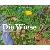 Die Wiese, Baltzer, Hans/Holtei, Christa, Beltz, Julius Verlag, EAN/ISBN-13: 9783407812230