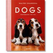 Dogs, Taschen Deutschland GmbH, EAN/ISBN-13: 9783836584296