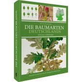 Die Baumarten Deuschlands, Oliver Tackenberg, Favoritenpresse, EAN/ISBN-13: 9783968490830