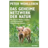 Das geheime Netzwerk der Natur, Wohlleben, Peter, Heyne, Wilhelm Verlag, EAN/ISBN-13: 9783453605619