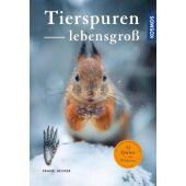 Tierspuren lebensgroß, Hecker, Frank, Franckh-Kosmos Verlags GmbH & Co. KG, EAN/ISBN-13: 9783440158180
