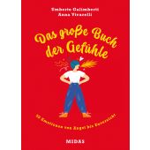 Das große Buch der Gefühle, Galimberti, Umberto/Vivarelli, Anna, Midas Verlag AG, EAN/ISBN-13: 9783038762201