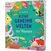 Kleine geheime Welten im Wasser, Hawthorne, Lara, Aladin Verlag GmbH, EAN/ISBN-13: 9783848902002