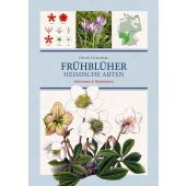 Frühblüher - Heimische Arten, Tackenberg, Oliver (Dr.), Favoritenpresse, EAN/ISBN-13: 9783968490441