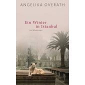 Ein Winter in Istanbul, Overath, Angelika, Luchterhand Literaturverlag, EAN/ISBN-13: 9783630875347