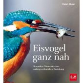 Eisvogel ganz nah, Sturm, Ralph, BLV Buchverlag GmbH & Co. KG, EAN/ISBN-13: 9783967470291