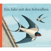 Ein Jahr mit den Schwalben, Müller, Thomas, Gerstenberg Verlag GmbH & Co.KG, EAN/ISBN-13: 9783836954525