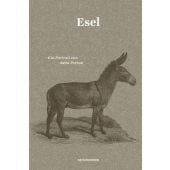 Esel, Person, Jutta, MSB Matthes & Seitz Berlin, EAN/ISBN-13: 9783882210781
