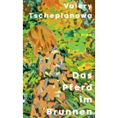 Das Pferd im Brunnen, Tscheplanowa, Valery, Rowohlt Berlin Verlag, EAN/ISBN-13: 9783737101844