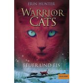 Feuer und Eis, Hunter, Erin, Beltz, Julius Verlag, EAN/ISBN-13: 9783407742353