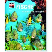 Fische, Schirawski, Nicolai, Tessloff Medien Vertrieb GmbH & Co. KG, EAN/ISBN-13: 9783788620769