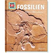 Fossilien - Spuren des Lebens, Baur, Manfred, Tessloff Medien Vertrieb GmbH & Co. KG, EAN/ISBN-13: 9783788620974