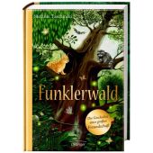 Funklerwald, Taschinski, Stefanie, Verlag Friedrich Oetinger GmbH, EAN/ISBN-13: 9783789148071