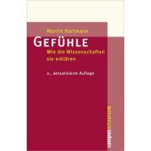 Gefühle, Hartmann, Martin, Campus Verlag, EAN/ISBN-13: 9783593392851