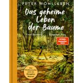Das geheime Leben der Bäume, Wohlleben, Peter, Ludwig bei Heyne, EAN/ISBN-13: 9783453281608
