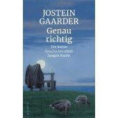 Genau richtig, Gaarder, Jostein, Carl Hanser Verlag GmbH & Co.KG, EAN/ISBN-13: 9783446263673