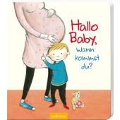 Hallo Baby, wann kommst du?, Hauenschild, Lydia, Ars Edition, EAN/ISBN-13: 9783760798561