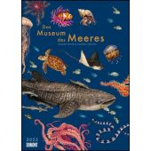 Das Museum des Meeres 2023, Trinick, Loveday/White, Teagan, DUMONT Kalenderverlag Gmbh & Co. KG, EAN/ISBN-13: 4250809650807