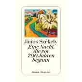 Eine Nacht, die vor 700 Jahren begann, Székely, János, Diogenes Verlag AG, EAN/ISBN-13: 9783257072365
