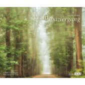 Kal. 2024 Waldspaziergang, Goor, Lars van de, DUMONT Kalenderverlag Gmbh & Co. KG, EAN/ISBN-13: 4250809651248
