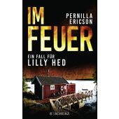 Im Feuer, Ericson, Pernilla, Scherz Verlag, EAN/ISBN-13: 9783651001091