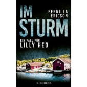 Im Sturm, Ericson, Pernilla, Scherz Verlag, EAN/ISBN-13: 9783651001107