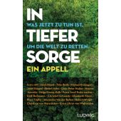 In tiefer Sorge, Ludwig bei Heyne, EAN/ISBN-13: 9783453281554