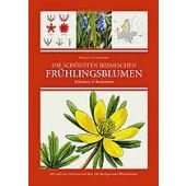 Die schönsten heimischen Frühlingsblumen, Oliver Tackenberg, FAVORITENPRESSE, EAN/ISBN-13: 9783968490434