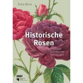 Historische Rosen, Blind, Sofia, DuMont Buchverlag GmbH & Co. KG, EAN/ISBN-13: 9783832169268